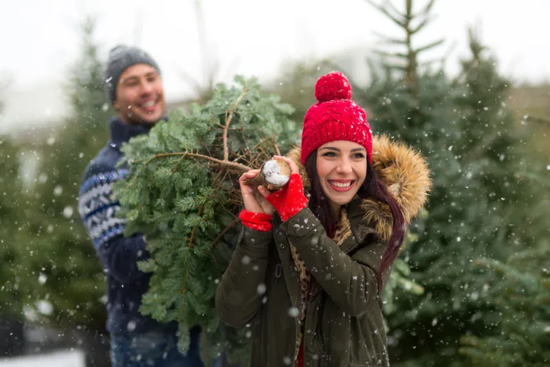 Ein Mann und eine Frau halten den Weihnachtsbaum zusammen, nachdem sie ihn gekauft haben
