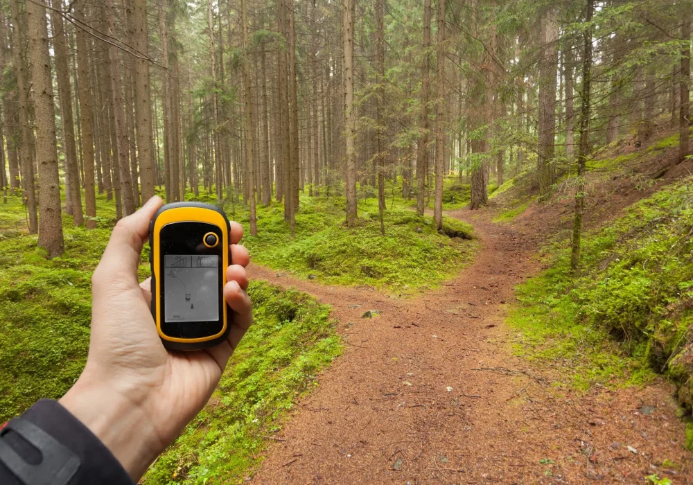 Ein GPS-Gerät wird in einer Hand gehalten in einem Wald